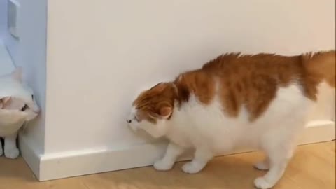 What!youscaredme!