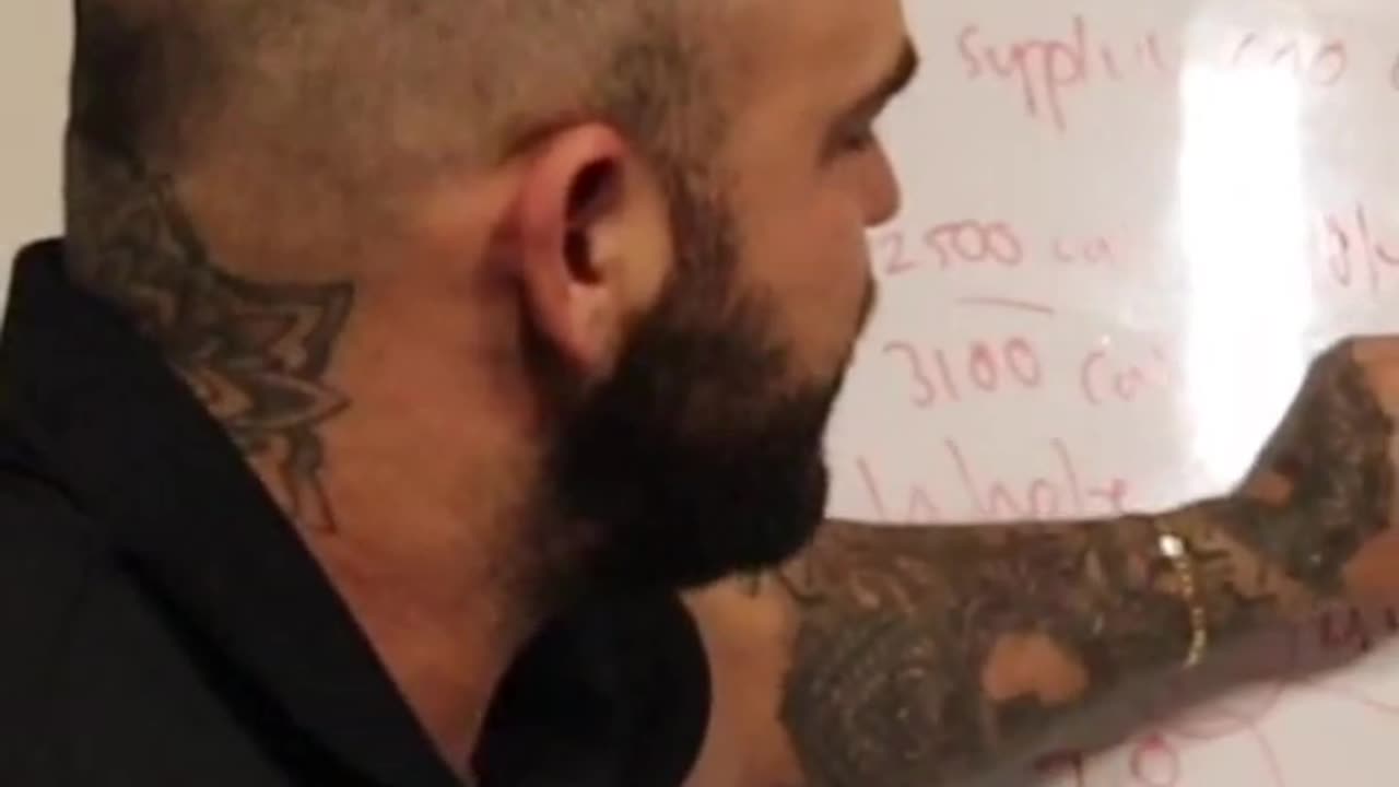 How big should you eat a day