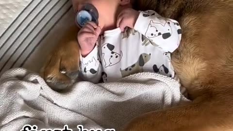 Adorable Baby and Playful Dogs: Heartwarming Moments of Fun and Laughter