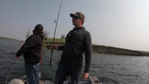 Giant Smallmouth Bass