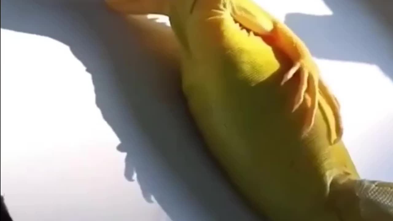 He's having a good time. Балдеет.
