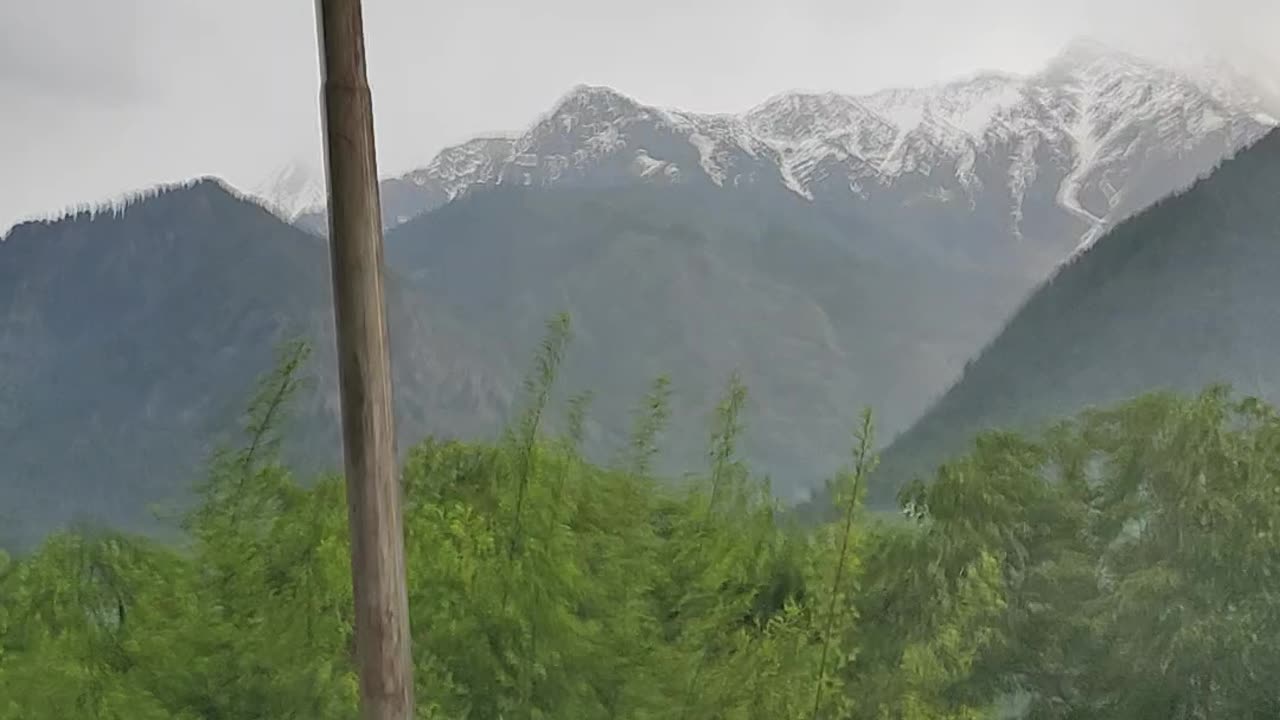 Kashmir