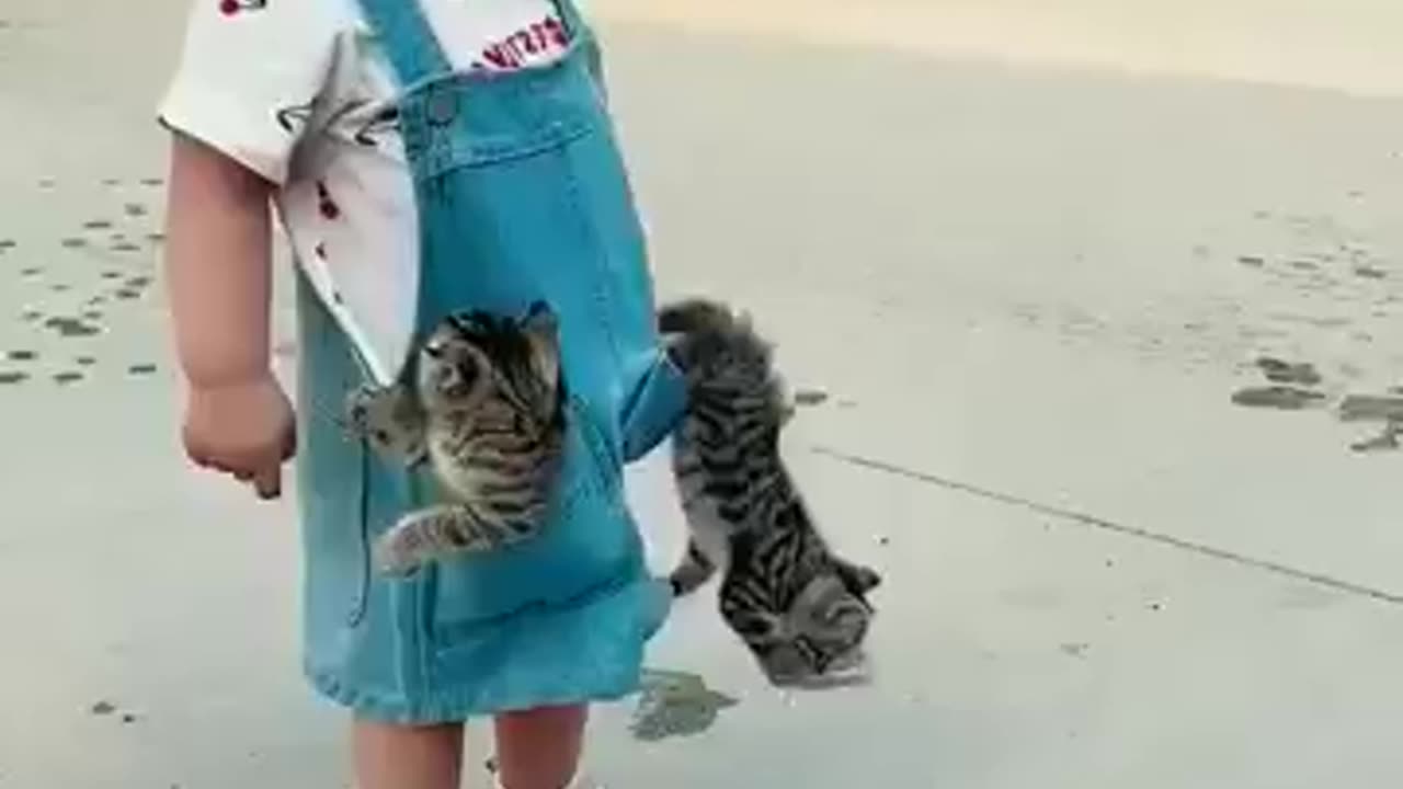 Cute baby with beautiful cats