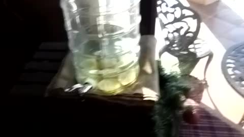 What Do You See Here?