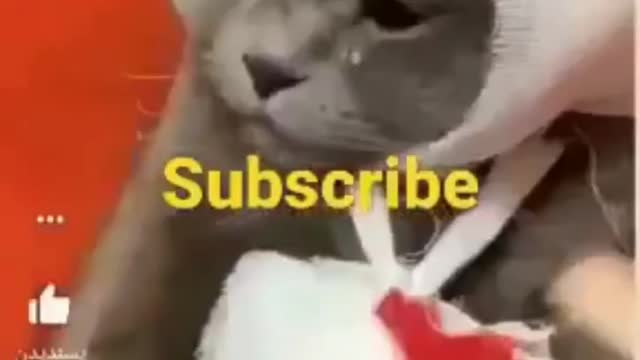#shorts #india #indonesia #turkey #america #argentina ##malaysia #polsha #news #newsvideo(1)(1)