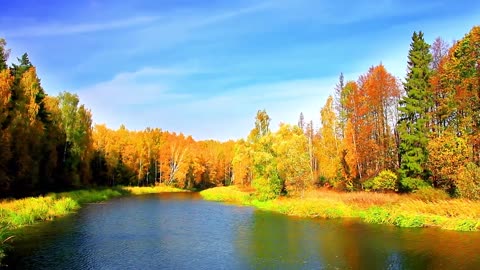 Meditation Music Calming Music Relaxing Music Sleep Music Relaxing Sleep Flute Music