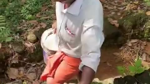 How Indian rubber sheet is made from a tree