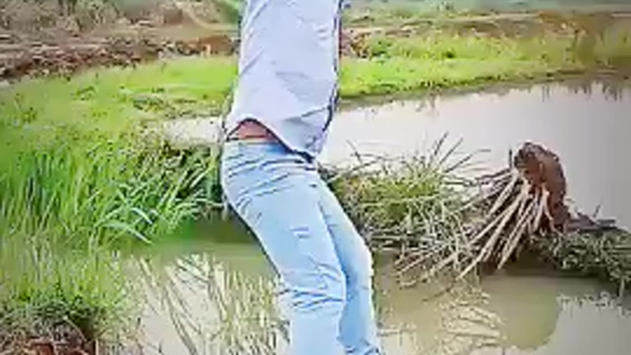 Funny video clip🤣😅🤣