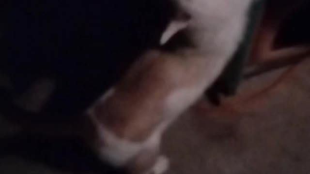 Pay Attention To The "Heavens"