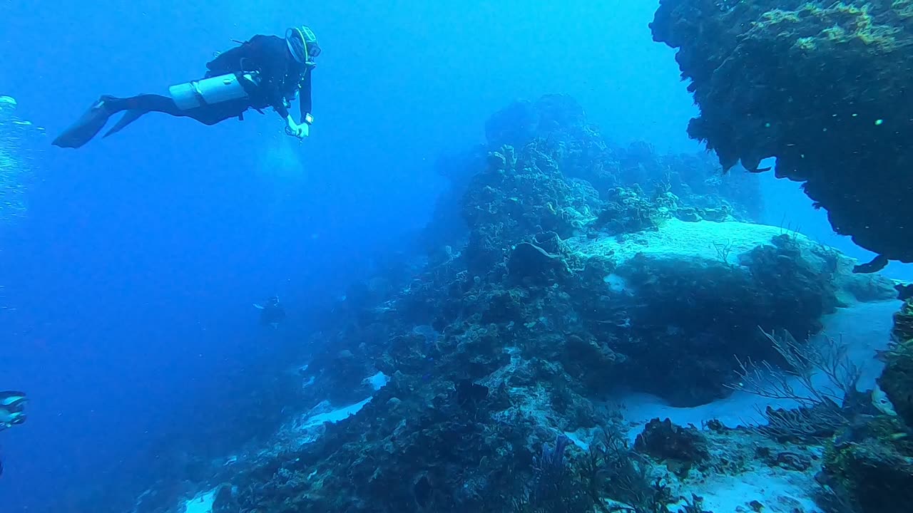 Cozumel 2023: Many fish and swim-through