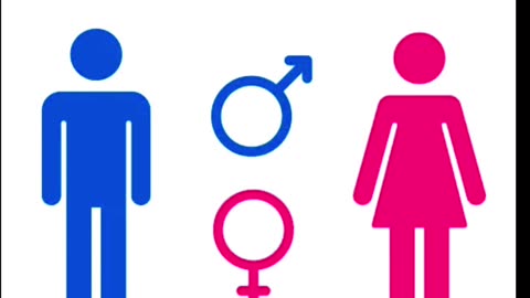 There are only 2 Genders