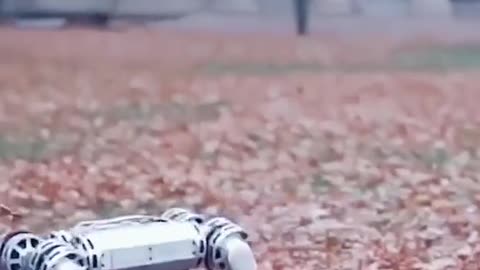 that little cheetah robot is now doing BACKFLIPS!