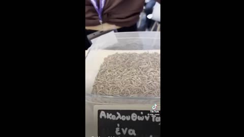 Έφτασε και στην Ελλάδα: Σκουλίκια Έδεσσας και τα περιττώματα τους ως διατροφή!