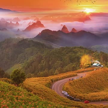 Snowstorm, Breathtaking View, Crackling Fire & Cats - Winter Ambience for Sleep, Relax or Study