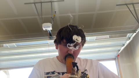 Day 11 Larry the lobster