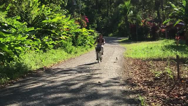 First-Time Bike Ride Ends in Bushes