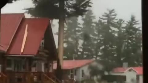 They are about to be struck by lightning and they do not know...