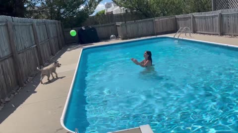 Dog Playing Volleyball with a Lady in a Pool