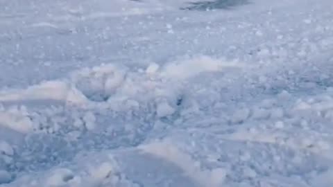 RC Car Takes on the Ice-Covered Lake! ❄️🚗