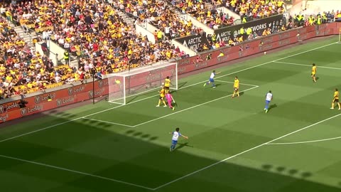 PL Highlights: Wolves 1 Brighton 4