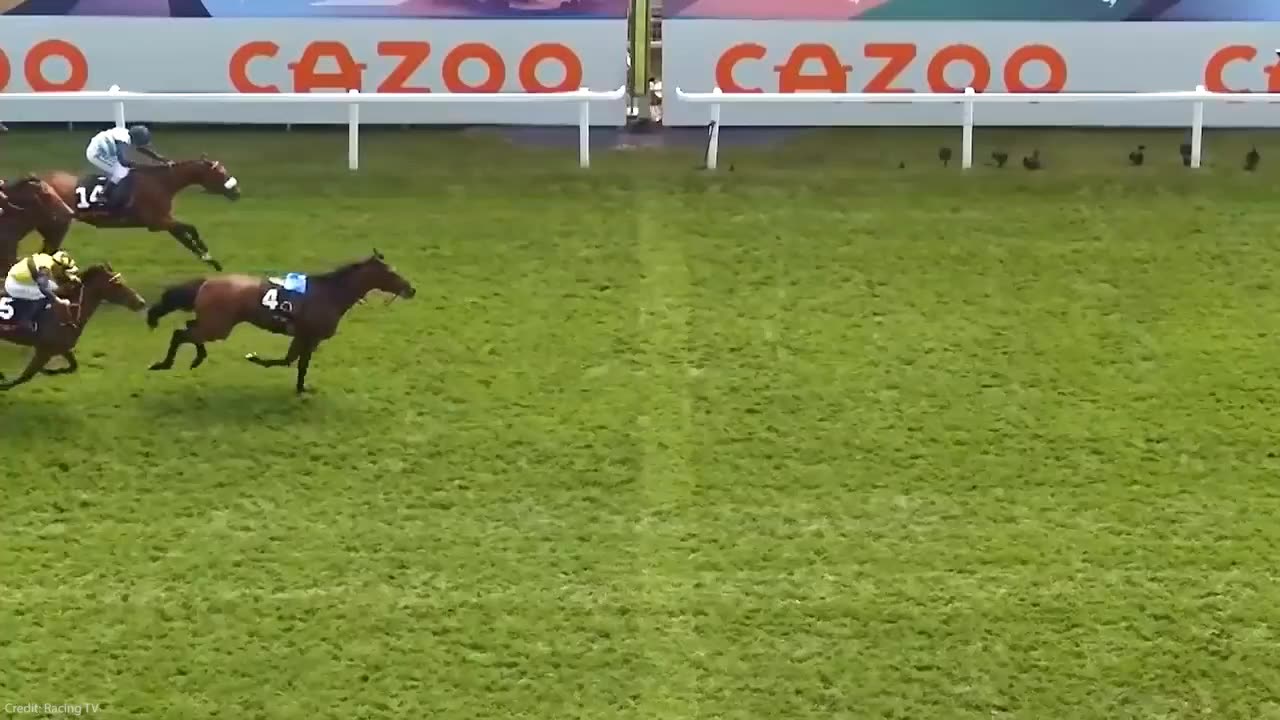 Most Unbelievable Moments Ever Caught On Camera part III