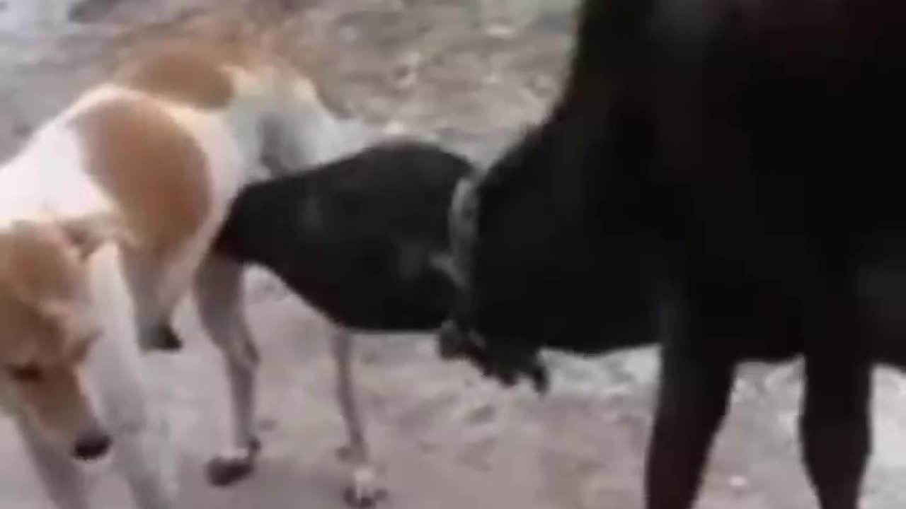 Breast Feeding