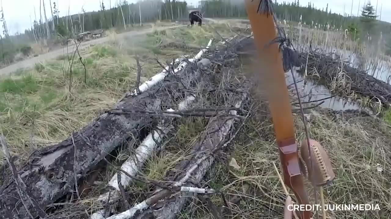 5 Moments You Wouldn't Believe if Not Filmed