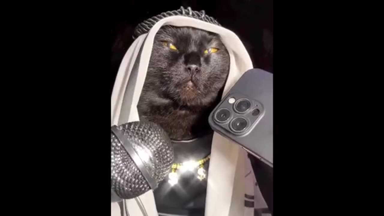 New best animals funny dogs and cats videoπππ€£π€£ππ
ππππ€₯π€π€