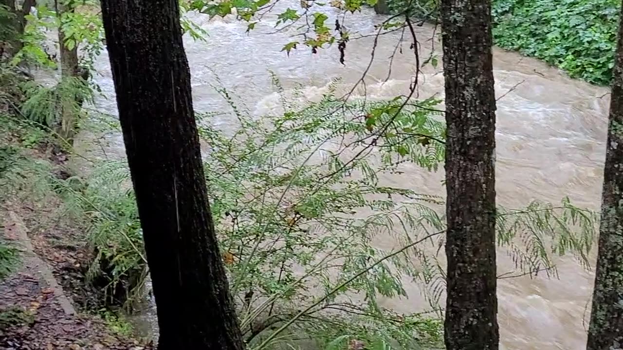 Gatlinburg Cabin view right after Hurricane Helene #rvlife #rv #glamping48