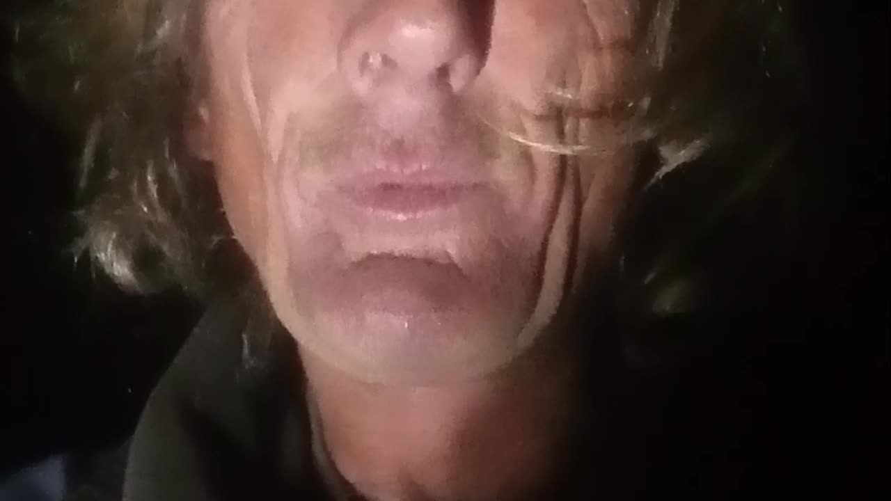 ME AND MY TWO CATS ARE GOING TO MAKE IT