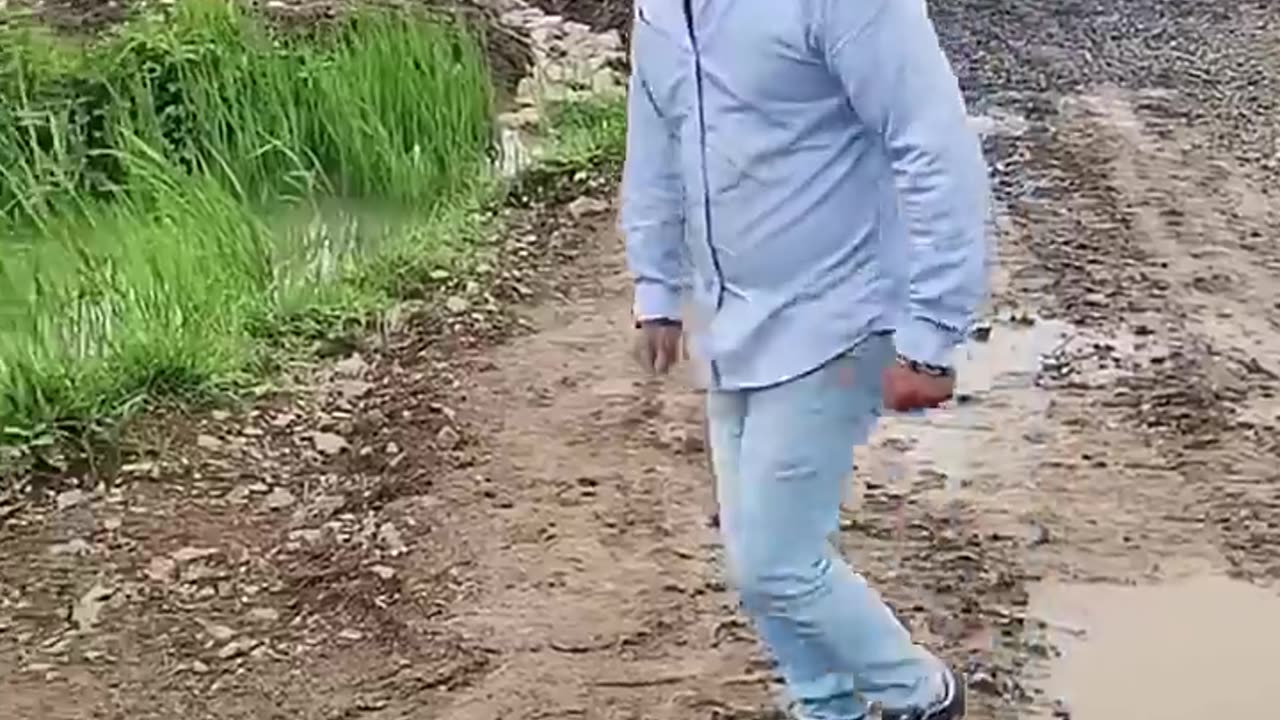Funny Video