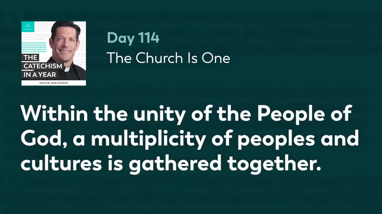 Day 114: The Church Is One — The Catechism in a Year (with Fr. Mike Schmitz)