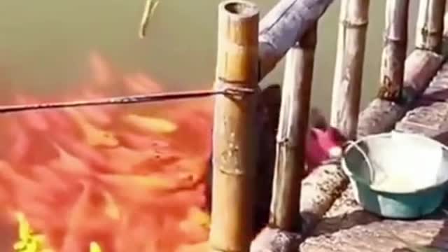 Looked like the swan was breathing 🔥