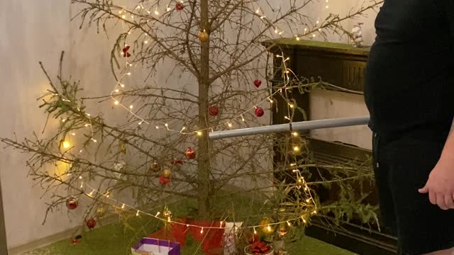 Christmas Tree Needles Fall Off With One Hit