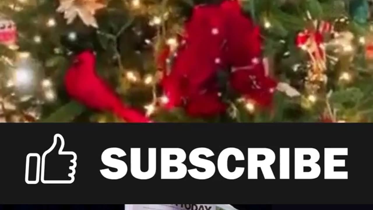 Merry Christmas from APN