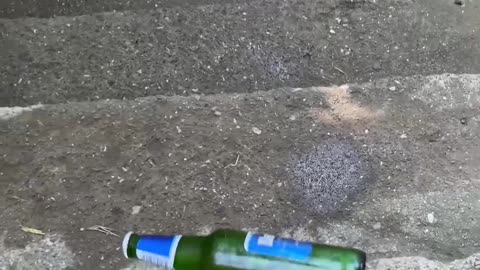 Bottles ASMR #shorts #asmr #satisfying #asmrtiktoks #asmrvideo #asmrsounds #satisfyingvideo