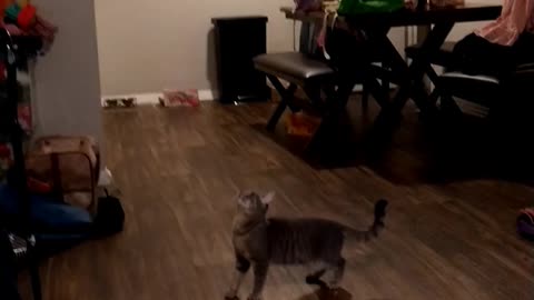 Jumping For It!