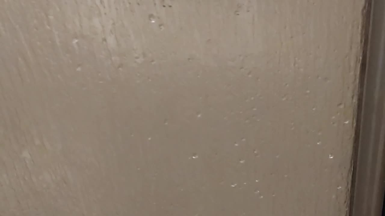 Duck Shower Time