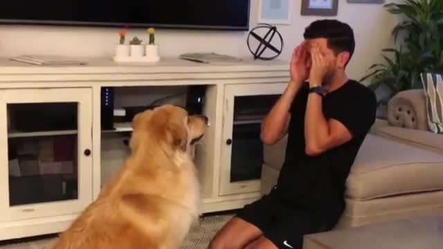 Pleasant animal behavior 9