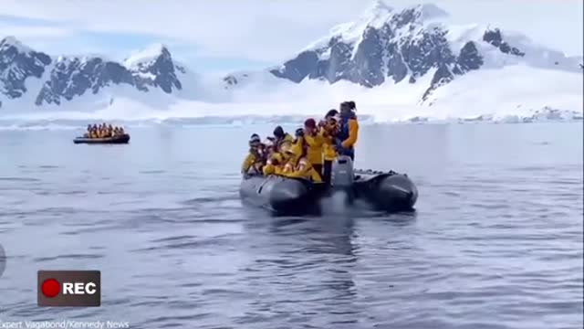 Penguin “HOPS”on Tourist Boat While Getting Chased by Killer Whales