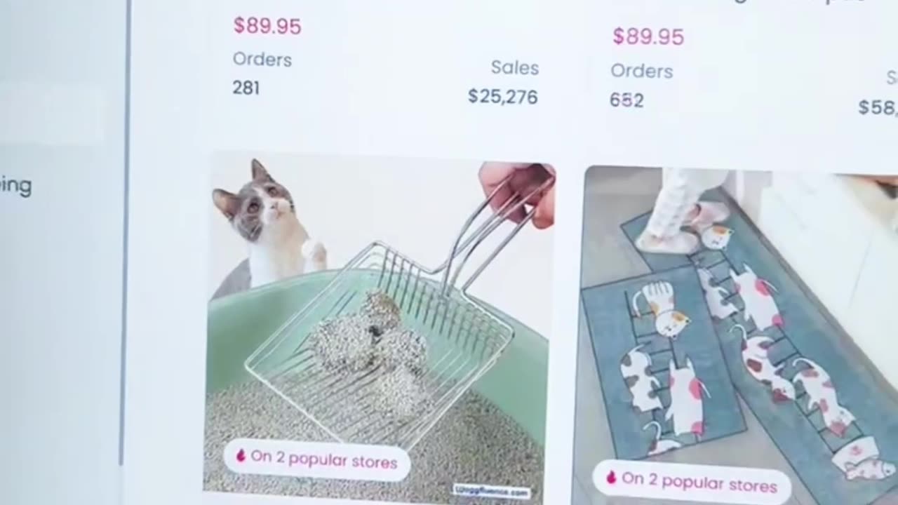 Stop wasting your time, find winning products on autopilot!