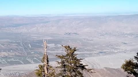 PALM SPRINGS TRAM A TREMENDOUS VIEW FROM MT. SAN JACINTO!