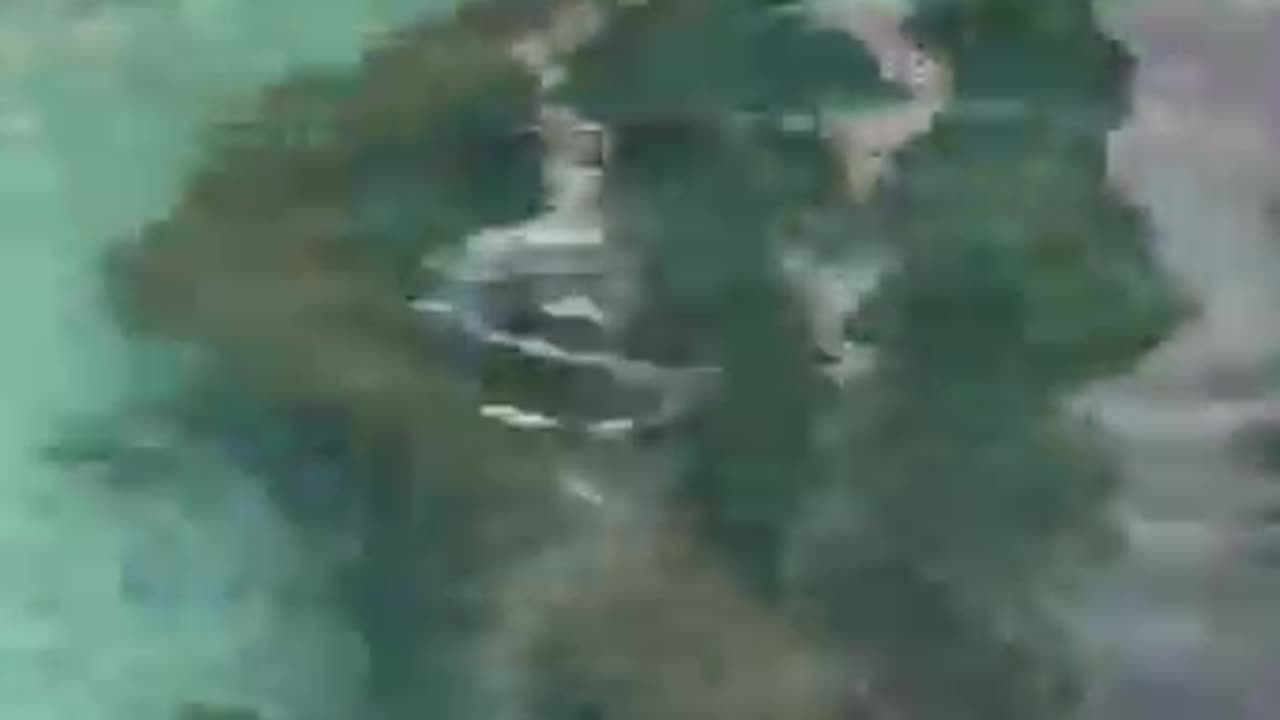 Women have close encounter with alligator while rafting