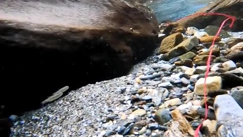 Waters