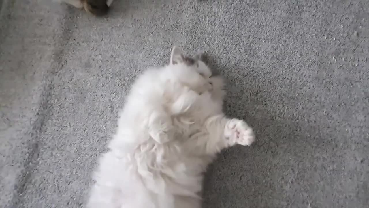 Mmmmmm this trap for me