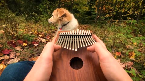 Can't Help Falling In Love on a Kalimba