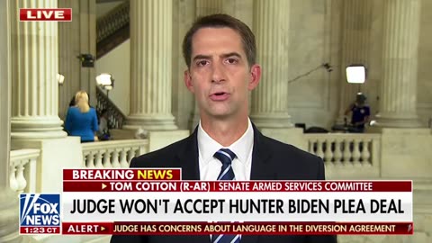 Tom Cotton SHREDS Biden After Hunter's Sweetheart Plea Deal Fell Through