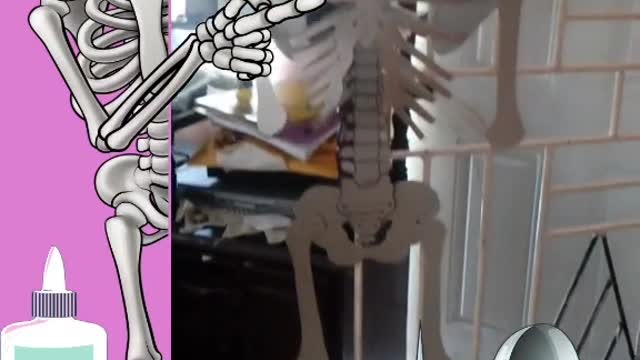 Making a skeleton