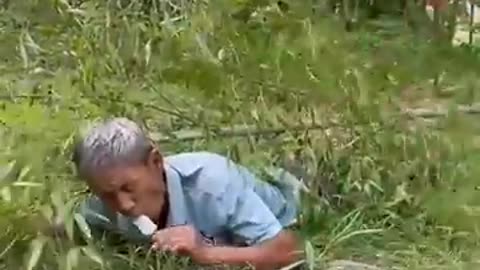 "Best Funny Videos - Try to Not Laugh #152 (360p)"