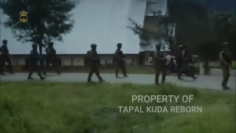 LATEST PAPUA NEWS - NKRI'S FIGHTERS BEGIN TO MOVE INTO THE RIMBA OF PAPUA - HORSEHOUSE REBORN